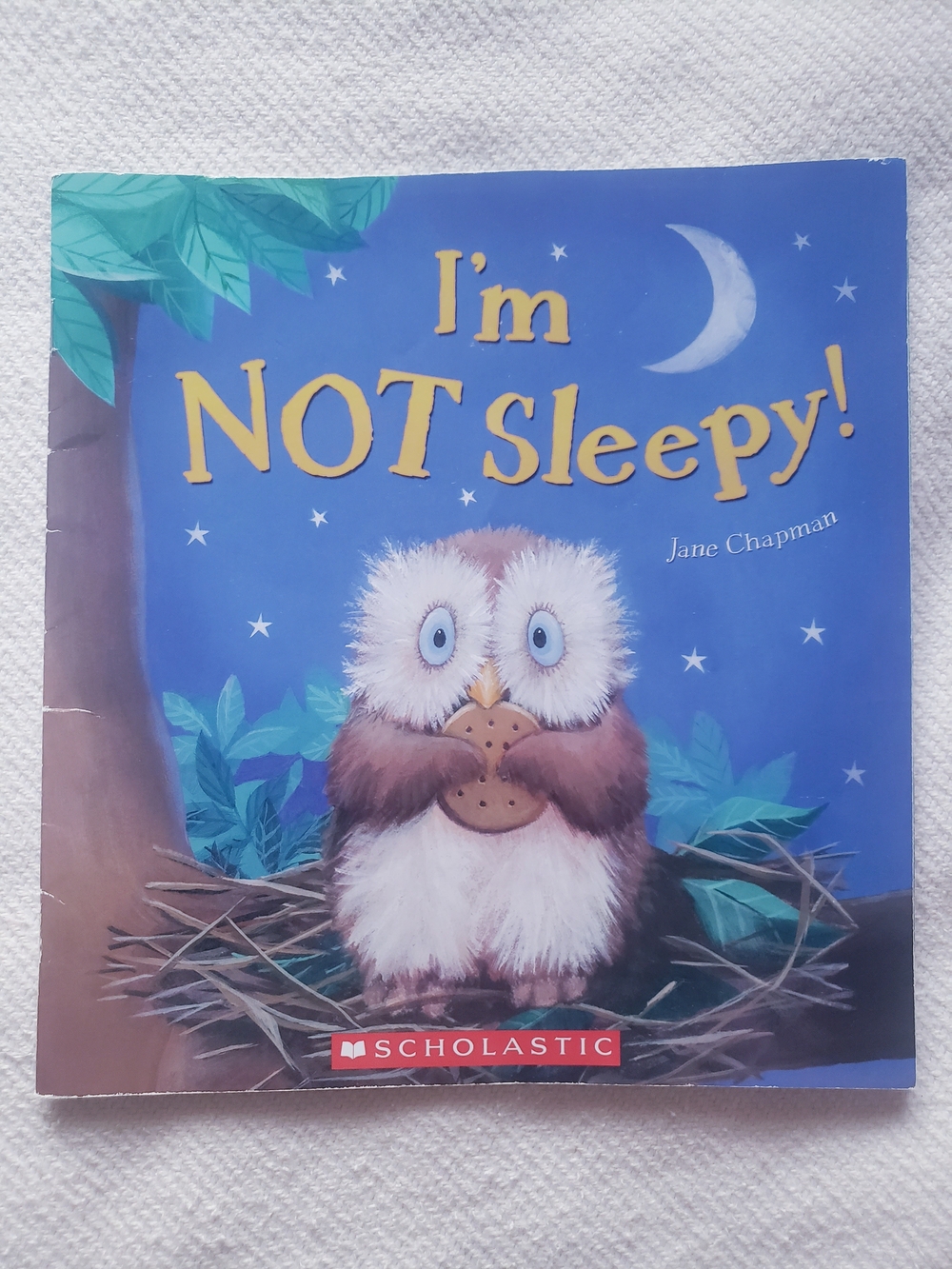 I'm Not Sleepy Kids Book